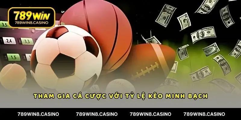 Hội viên sẽ được tham gia tỷ lệ kèo minh bạch